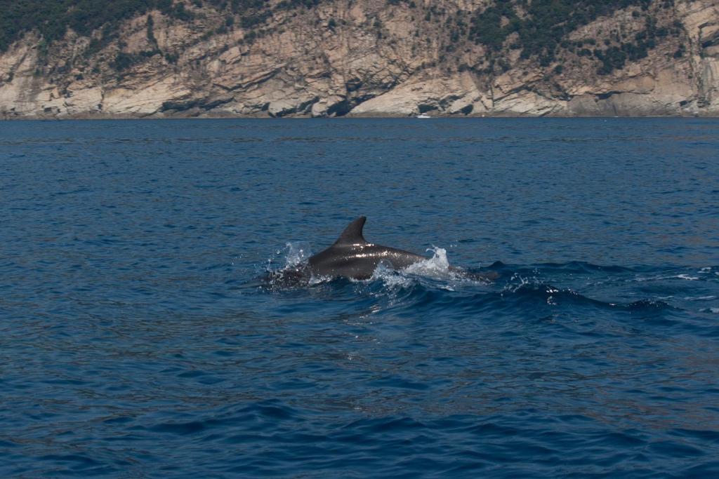 Affittacamere Mariella Levanto Bagian luar foto
